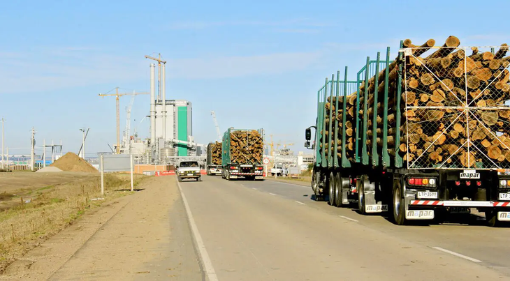El sector forestal será el principal rubro exportador de Uruguay en 2024.