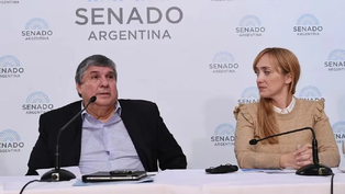 Unión por la Patria pidió una sesión especial en el Senado