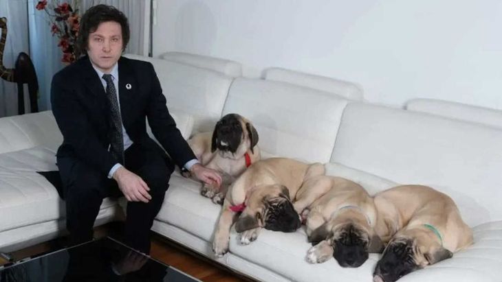 Milei acusó a JxC de querer quitarle la tenencia de sus perros