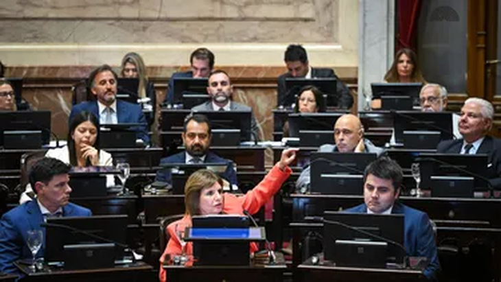 patricia-bullrich-la-libertad-avanza-senado