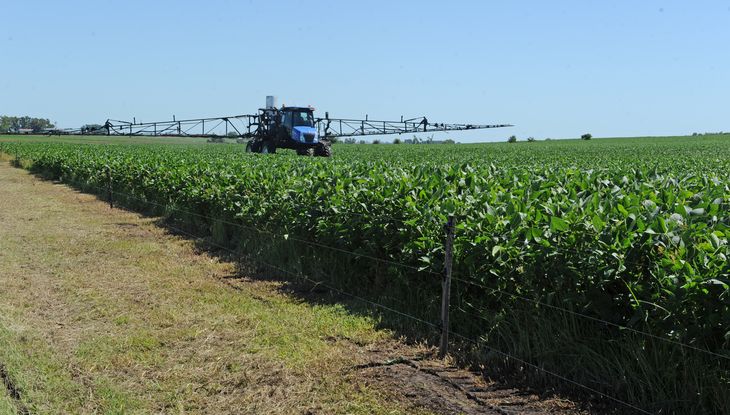 El agro apunta a producir más de 3 millones de toneladas de soja.