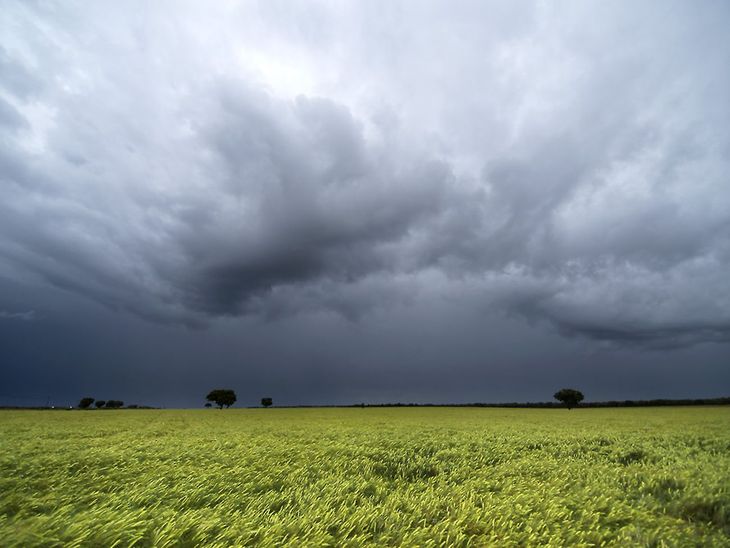 Lluvia en el campo.jpg