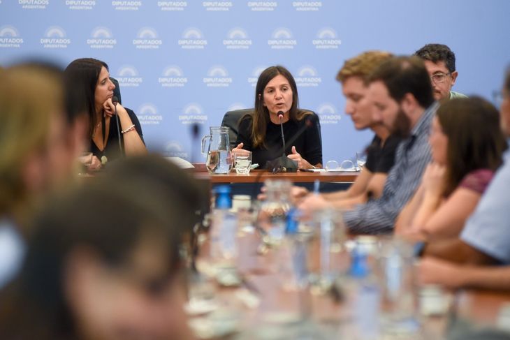 Fernanda Raverta expuso en Diputados por la moratoria.