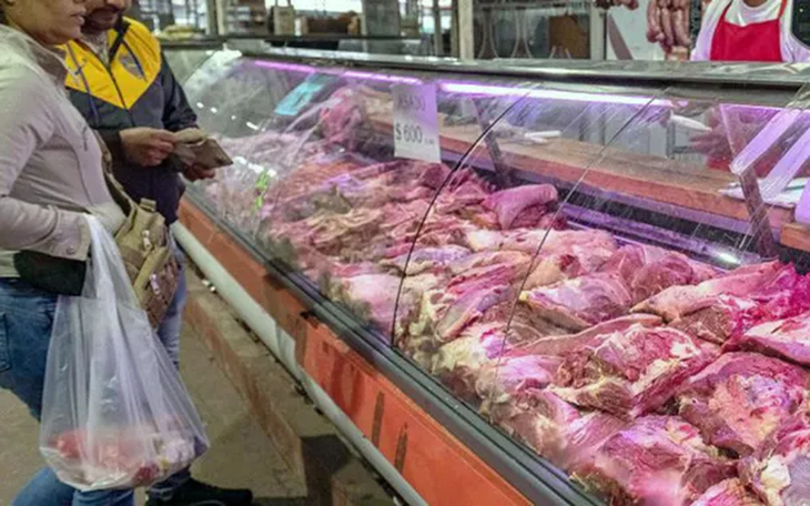 carne-telamjpg.webp