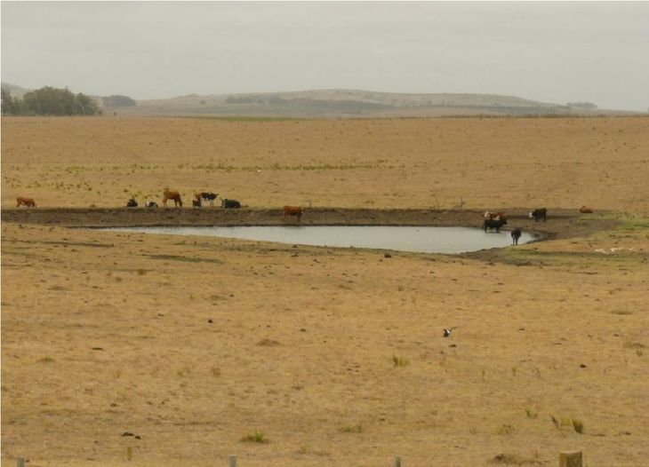 Con la sequía extrema en Uruguay, Montevideo todavía tiene reservas de agua potable para marzo y abril.