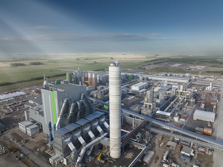 UPM derramó soda cáustica en el arroyo del Sauce a mediados de agosto.