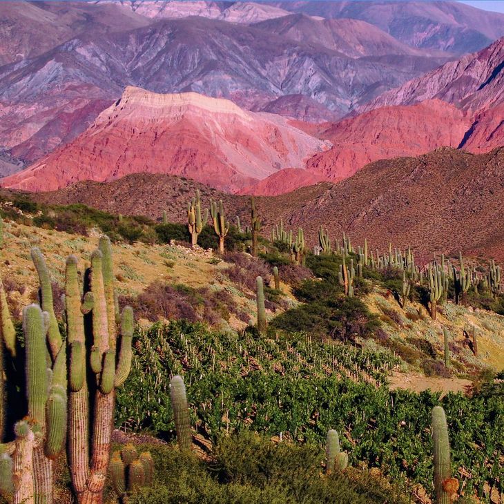 Jujuy, una de las provincias favoritas para el turismo nacional.