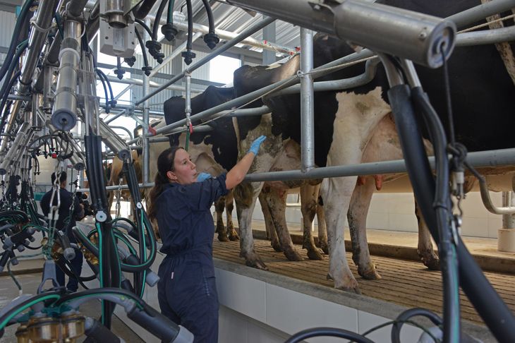 Uruguay es el principal proveedor de leche en polvo de Brasil.&nbsp;