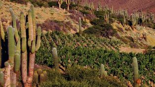 Jujuy, una de las provincias favoritas para el turismo nacional.