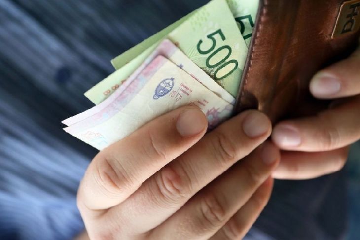 Informaron el nivel de ingresos necesario para una familia tipo