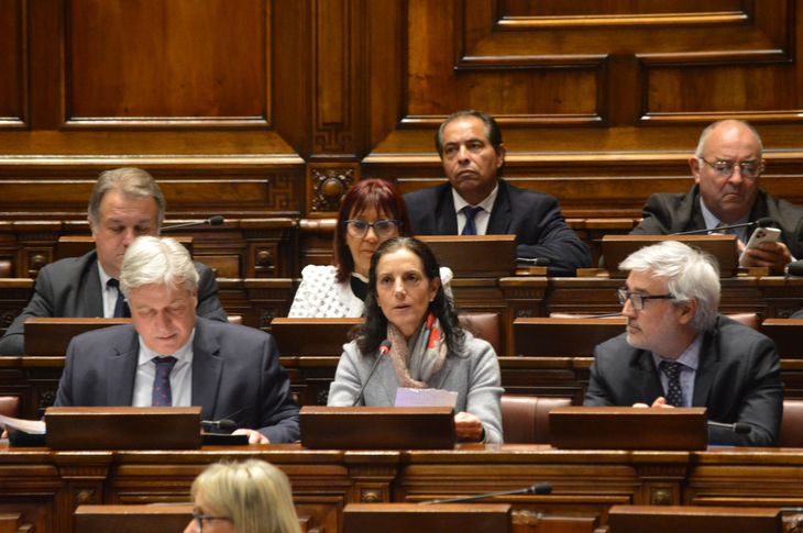 La ministra Azucena Arbeleche expresó ante el Parlamento su postura sobre la CTM de Salto Grande.