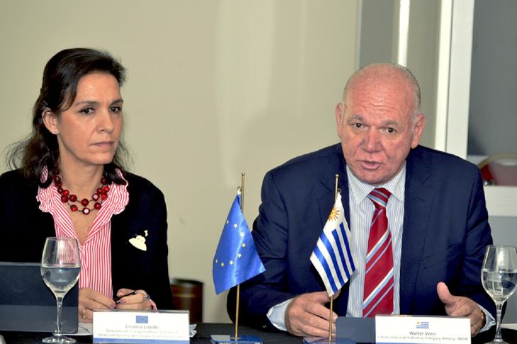 El subsecretario del MIEM, Walter Verri, avanzó en gestiones para concretar el convenio entre Uruguay y la Unión Europea por hidrógeno verde.&nbsp;