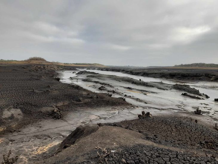 Las reservas de agua de Paso Severino continúan bajando.