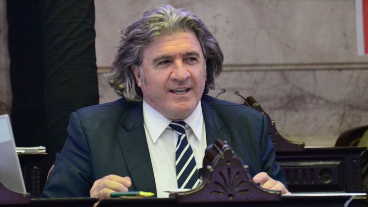 El diputado provincial de Mendoza, José Luis Ramón, habló de Rodolfo Suárez.
