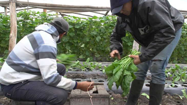 El Índice de Precios al Productor de ProductosNacionales volvió a caer a nivel interanual.