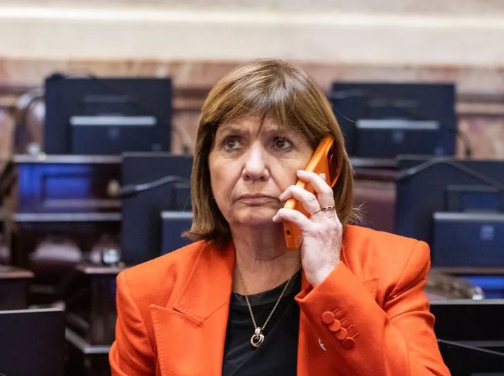 La declaración jurada de Patricia Bullrich
