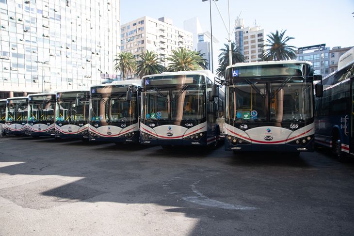 Cutcsa emitirá deuda en pesos en el mercado de valores uruguayo para financiar su plan de inversión.