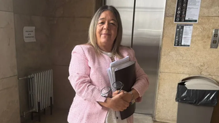 declaro la escribana de adorni y dijo que no detecto irregularidades