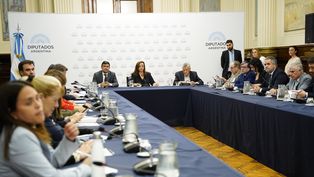 Cámara de Diputados al frente con Cecilia Moreau.