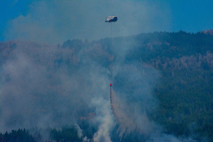 El incendio en El Hoyo.