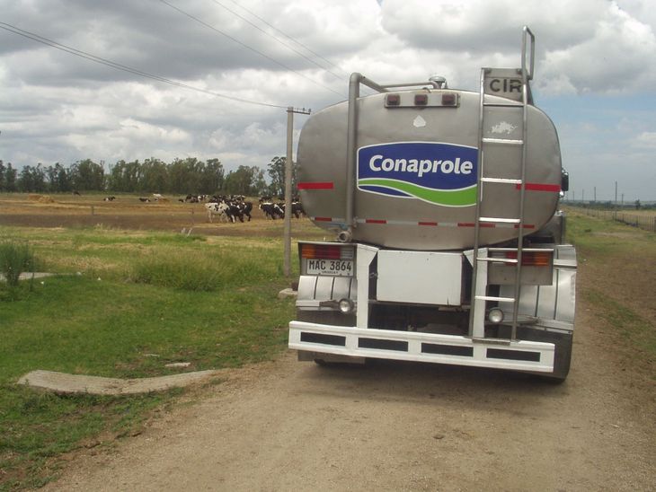 Las exportaciones de Conaprole alcanzaron durante 2023 las 170.000 toneladas.