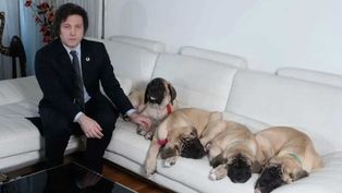 Milei acusó a JxC de querer quitarle la tenencia de sus perros