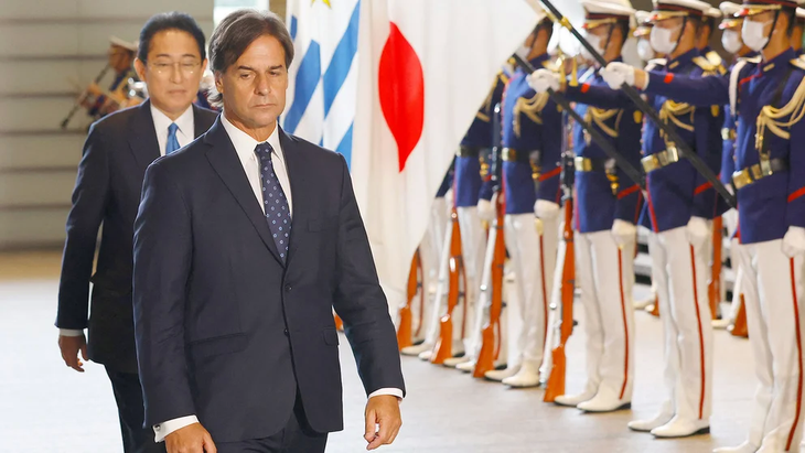 El primer envío de lengua bovina de Uruguay a Japón se realizará el sábado a la mañana.