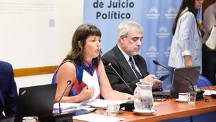 Carolina Gaillard en la comisión de Juicio Político en Diputados.
