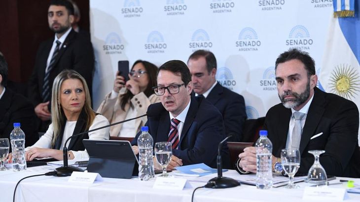 El debate en comisión de los proyectos continuará el lunes próximo