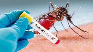 dengue: preocupacion por la suba de casos y los fallecidos