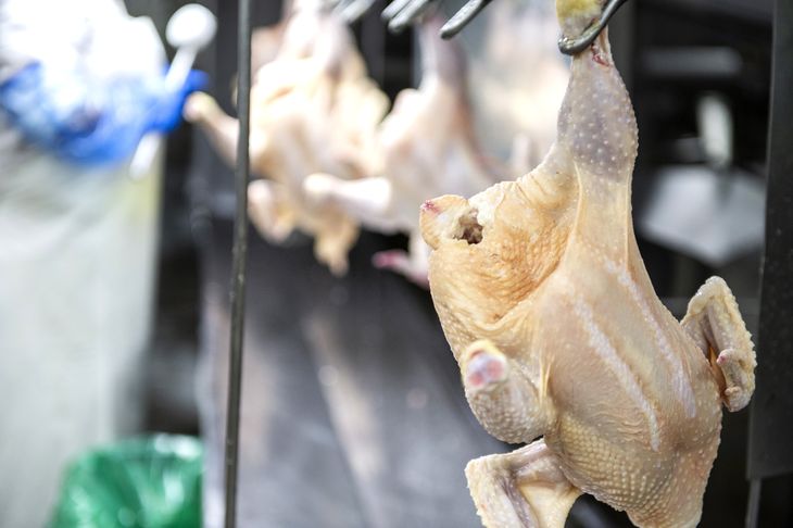 El MGAP sigue buscando la habilitación para exportar carne aviar a China.