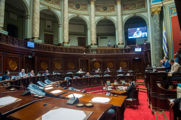 El plebiscito necesitaba el apoyo del 2/5 de la Asamblea General, por lo que dependía de las firmas del Frente Amplio.