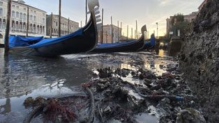Las fotos de Venecia sin agua.