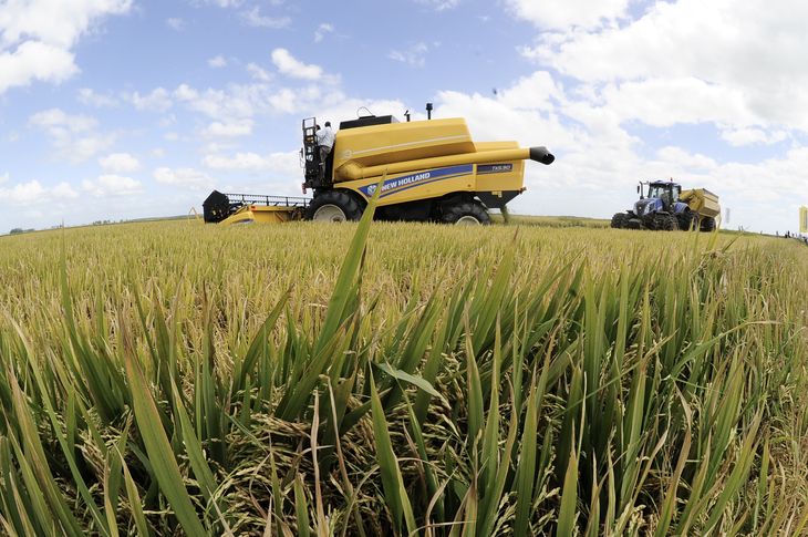 Los sectores productivos del Uruguay tuvieron que ajustarse el cinturón durante 2023, según el economista Ignacio Munyo.