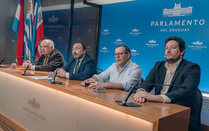 Los legisladores de Cabildo Abierto condicionaron su voto para aprobar la reforma de la Caja de Profesionales.