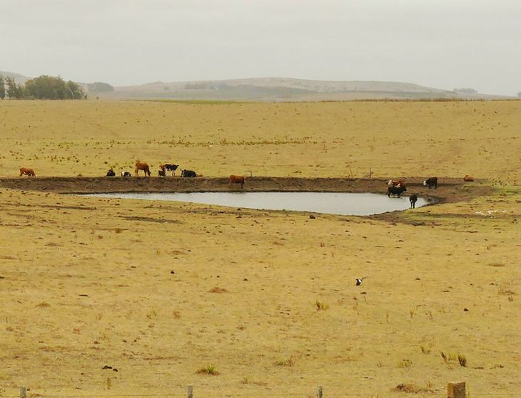 La emergencia agropecuaria había sido extendida hasta el 23 de septiembre.
