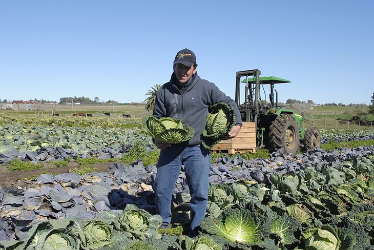 Los precios a los productores aumentaron más de un 4% en el primer trimestre de 2023.