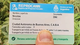 Patricia Bullrich advirtió sobre la continuidad de Reprocann