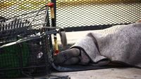Una familia necesitó $1,5 millones en julio para no ser pobre en la Argentina de Milei