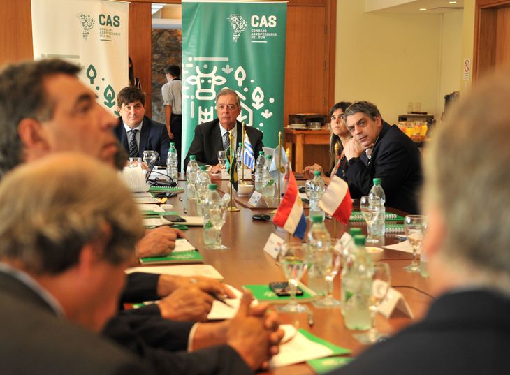 El titular del MGAP, Fernando Mattos, presidió una reunión regional para frenar el avance de de la gripe aviar en Uruguay y demás países sudamericanos.