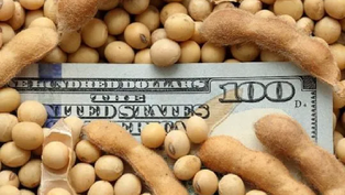 massa lanzo un nuevo dolar agro a $300