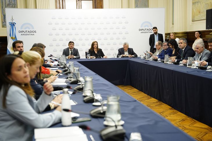 Cámara de Diputados al frente con Cecilia Moreau.