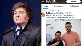 martin tetaz tras la polemica publicacion de milei: con ese tema no se jode, es penoso
