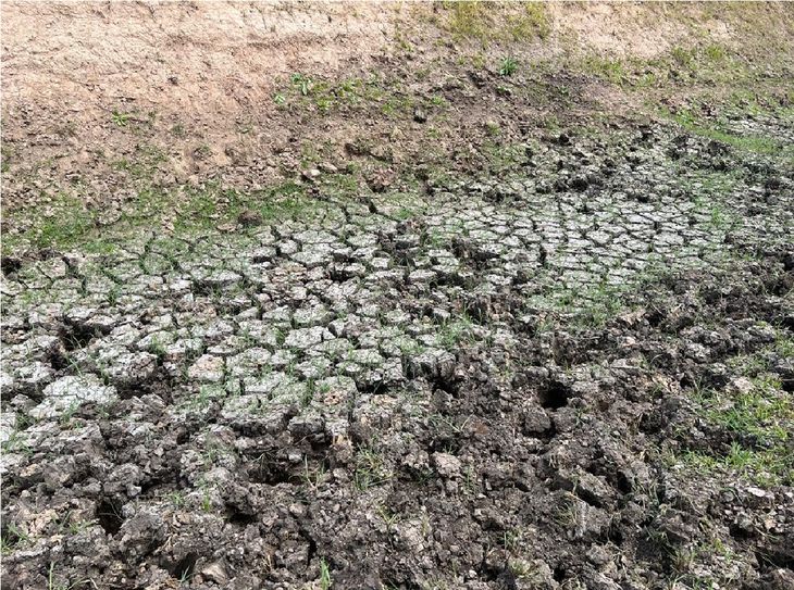 Uruguay atravesó un período de sequía que comprometió la producción agropecuaria.