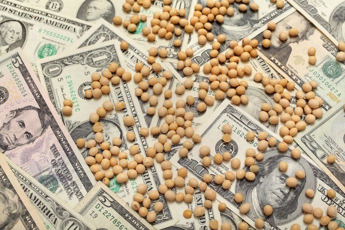 Las aduanas de China también informaron volúmenes de importación de soja revisados para enero-febrero de2023 a 14,30 millones de toneladas, frente a una cifra inicial publicada de16,17 millones de toneladas