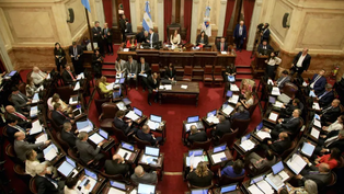 el senado aprobo el regimen penal juvenil que baja la edad de punibilidad a 14 anos