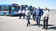paro de colectivos: que lineas podrian reemplazar a la 333, 407, 437 y 707