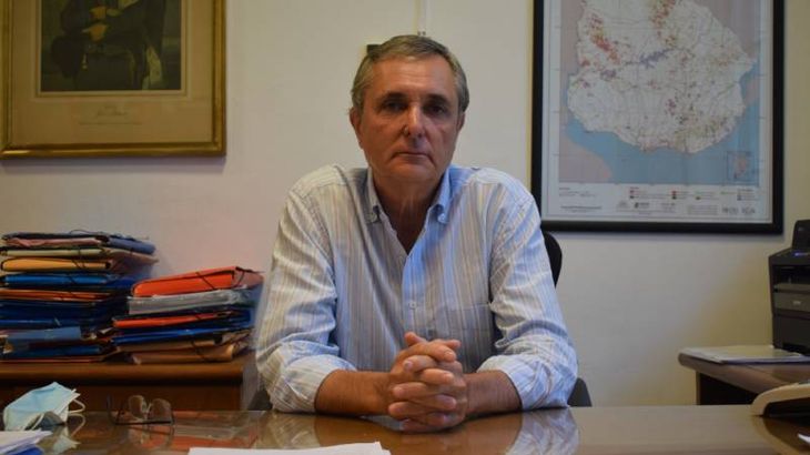 Carlos Faroppa, director general forestal del MGAP.