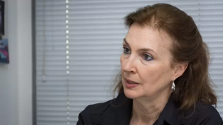 diana mondino en la uia: vayan comprando generadores