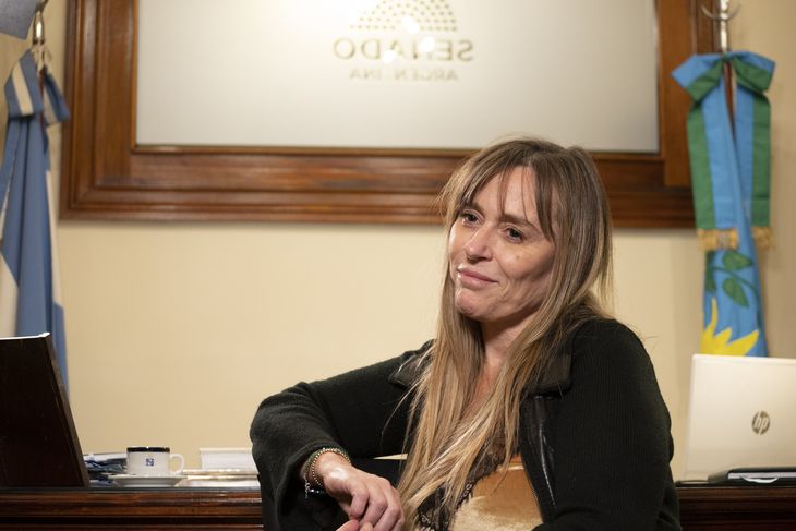 La senadora nacional por la provincia de Buenos Aires, Juliana Di Tullio.